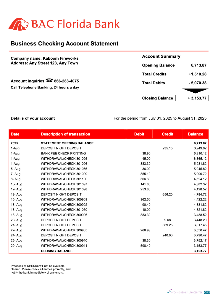 Download USA BAC Florida enterprise statement Word and PDF template Photoshop template